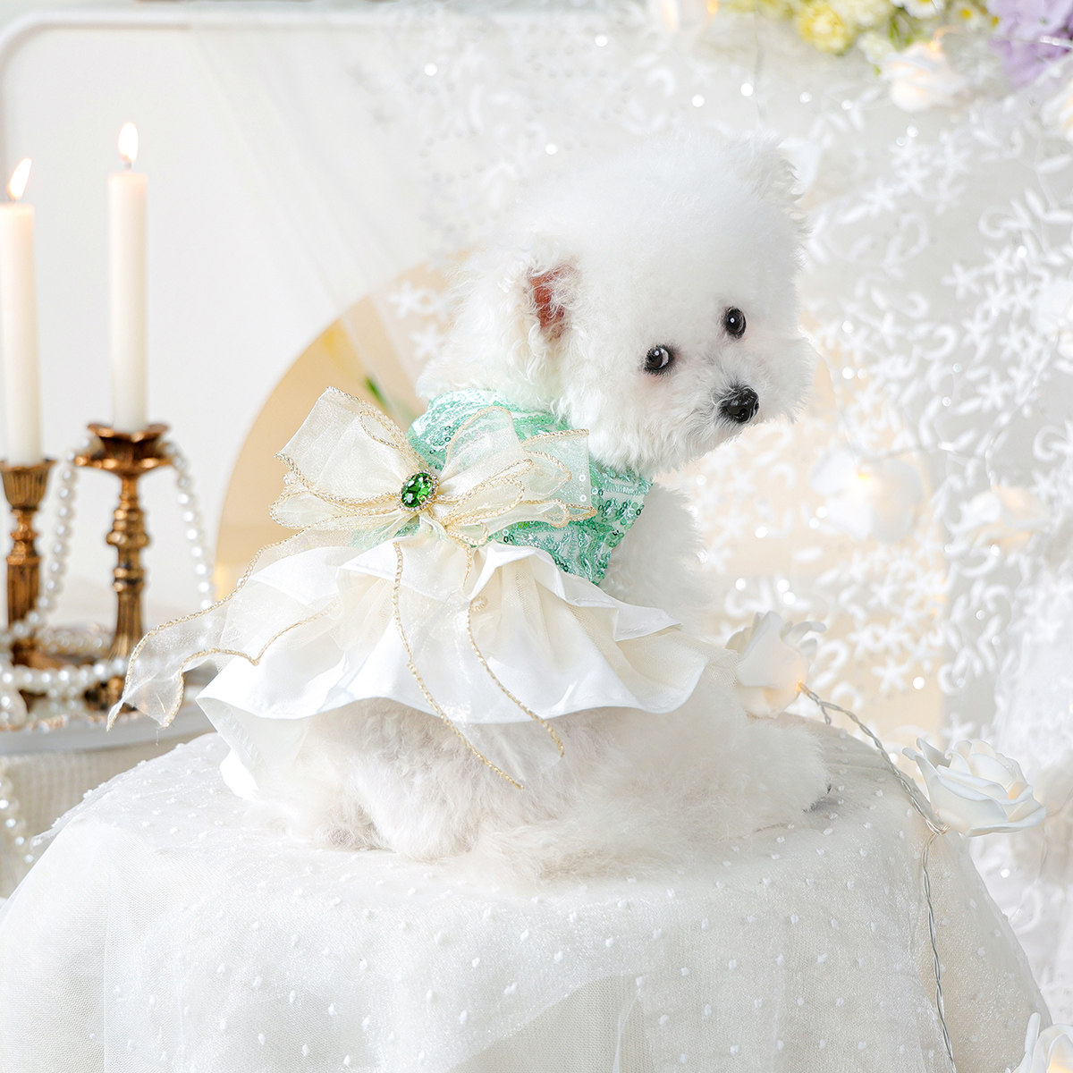 PETCIRCLE宠物狗狗公主裙礼服裙