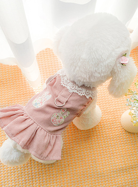 狗狗夏天衣服宠物猫咪小狗牵引夏季裙子泰迪博美比熊公主裙小型犬