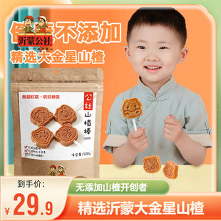 500g 沂蒙公社无添加山楂棒棒糖原味儿童零食独立小包装