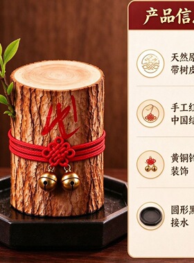 巴西木幸运木水培摆件桌