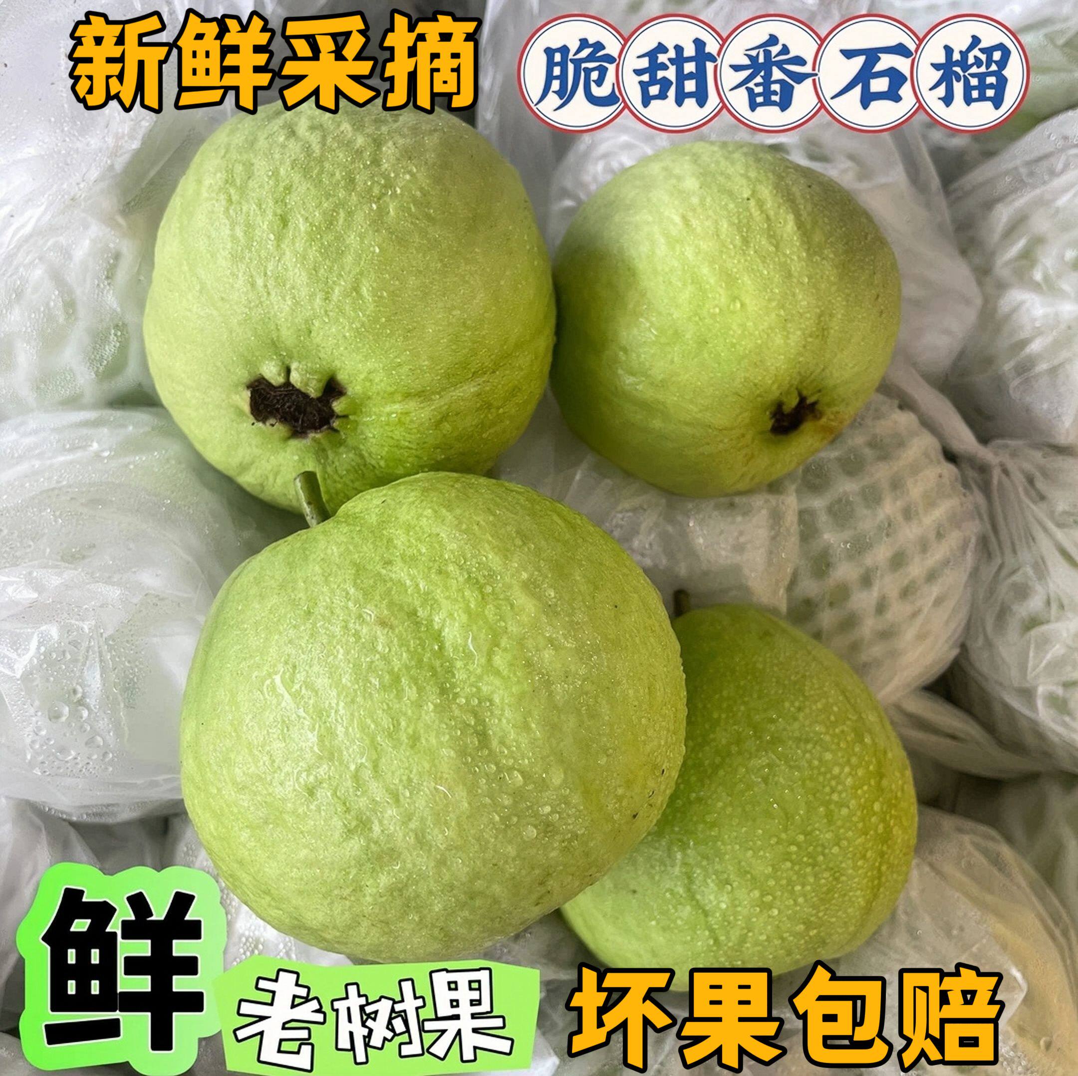 广西白心芭乐5斤整箱新鲜番石榴当季水果珍珠芭乐白肉巴乐果包邮