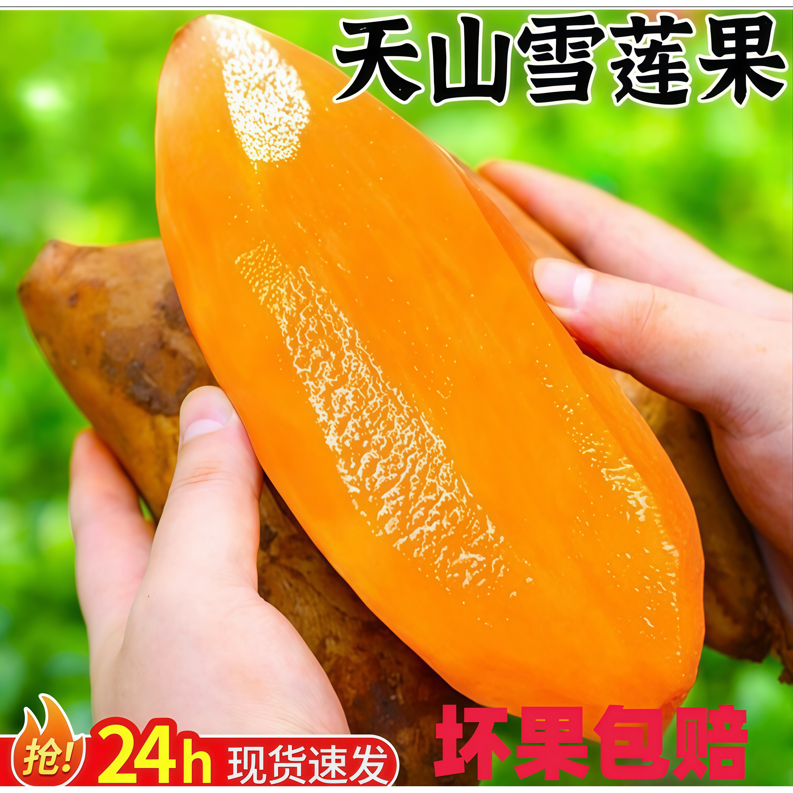 现货速发！冷藏果云南天山雪莲果新鲜水果9斤当季黄心级雪连果