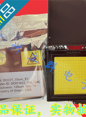 DO221_55um_E2 进口GCS 光电二极管芯片 10Gbps 丨