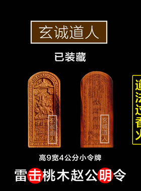 雷击桃木赵公明武财神小令牌