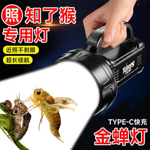 【照知了猴专用灯强光大功率】