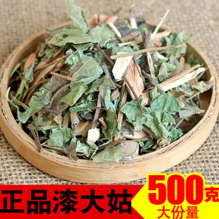 漆大姑毛漆毛七哥正品南瓜漆大伯七大姑毛果算盘子根枝叶中药材