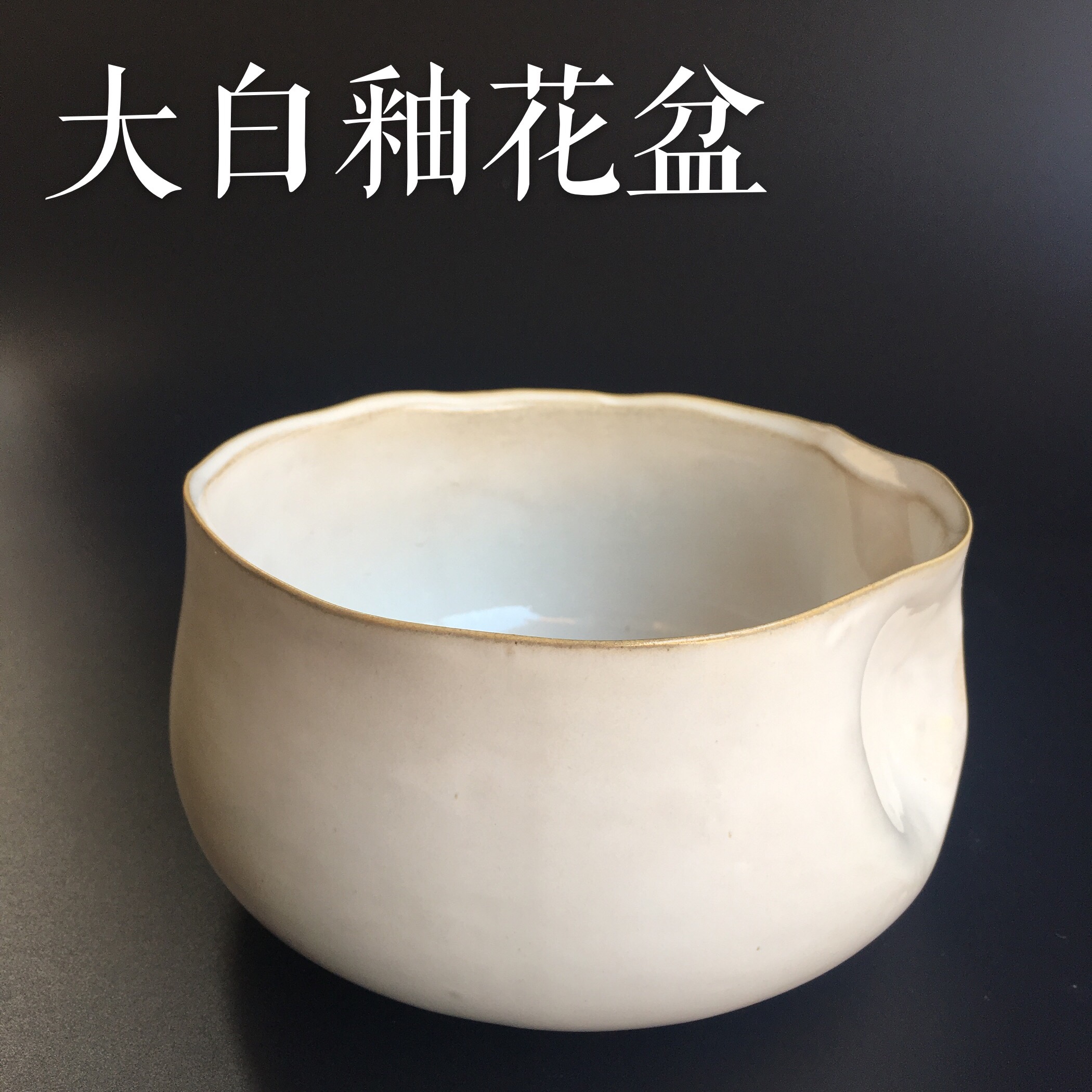 睡莲水培植物简约风包邮水仙花盆