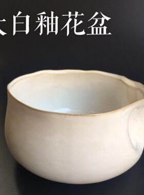 睡莲水培植物简约风包邮水仙花盆