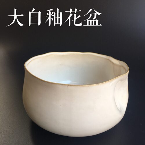 睡莲水培植物简约风包邮水仙花盆