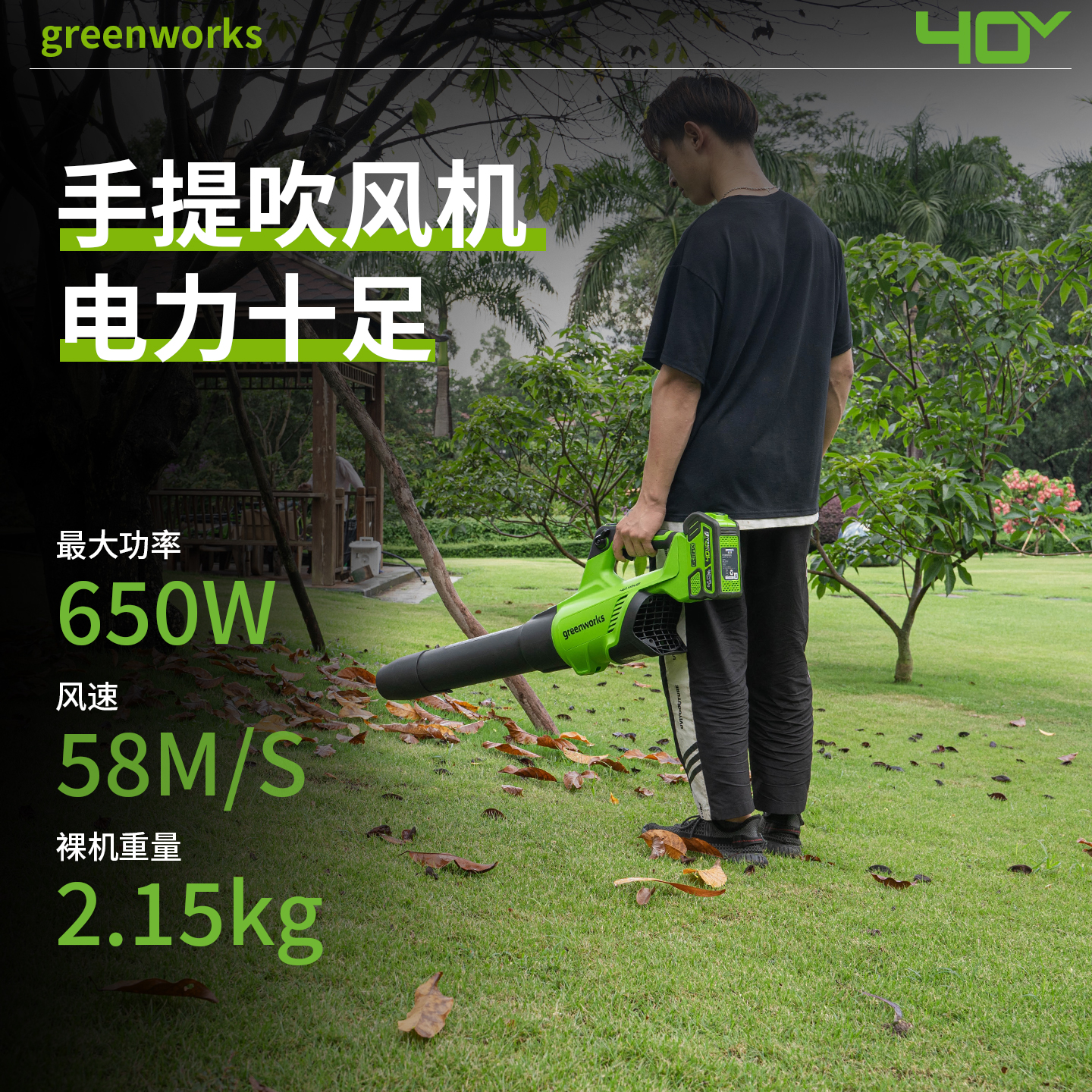 充电式车载落叶除尘器吹雪机