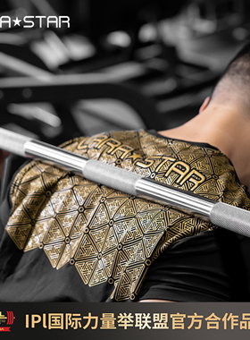 劳拉之星1519防滑服男款短袖力量举深蹲卧推防滑T恤健身透气