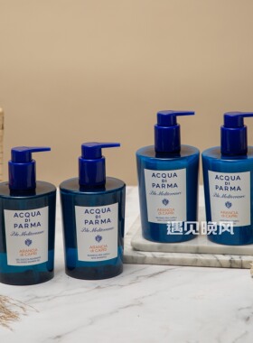 帕尔马 蓝色地中海 香橙香 酒店线洗发水护发素沐浴露润肤乳300ml