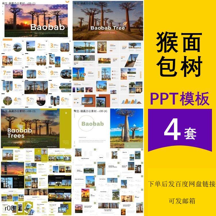 猴面包树ppt介绍植物树木认识观察种植简介主题背景ppt模板