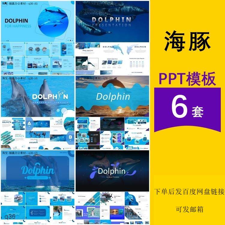 海豚海洋哺乳动物介绍保护生物班会汇报答辩主题背景ppt模板