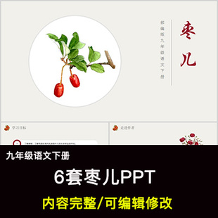 枣儿PPT语文九下公开课讲课教学成品课件幻灯片PPT教师用