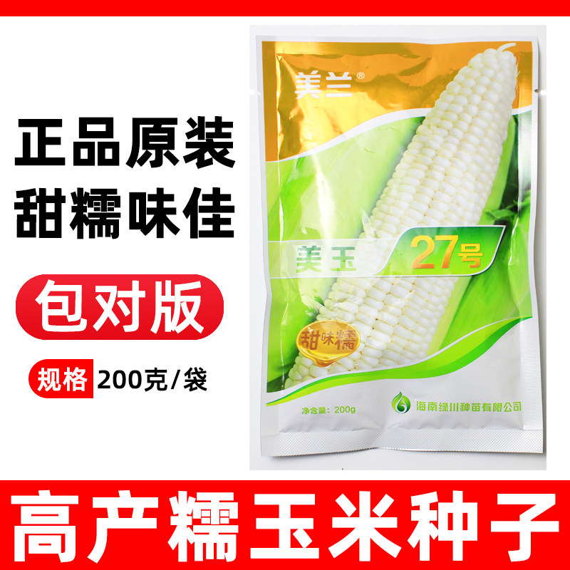 白糯玉米种子高产大棒