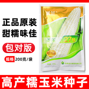 美兰美玉27号玉米种子高产甜糯大棒白糯超甜春季玉米种籽春播杂交