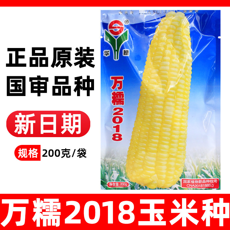 万糯2018玉米种子高产优春季质糯甜南方大棒种籽孑又甜又糯的苞米