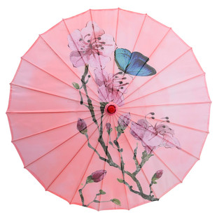 关关雎鸠演出伞雨涧春行图舞蹈伞故乡情舞伞古典烟雨唱扬州道具伞