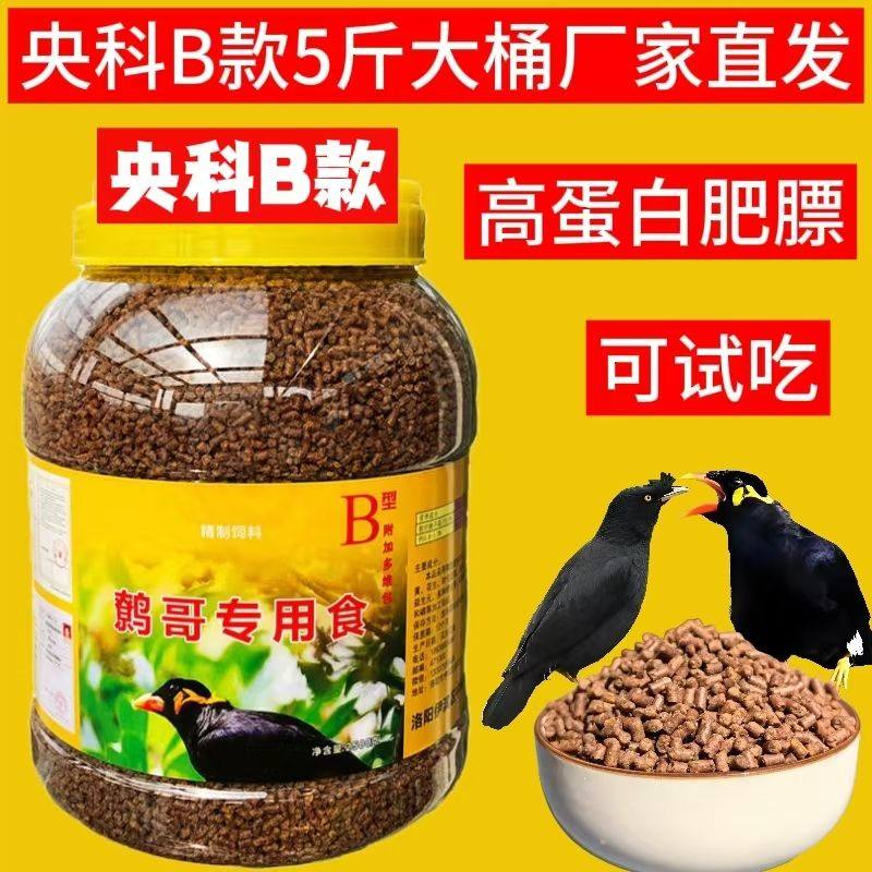 央科鹩哥饲料营养鸟食八哥饲料幼鸟高蛋白高营养鸟食鹩哥鸟食