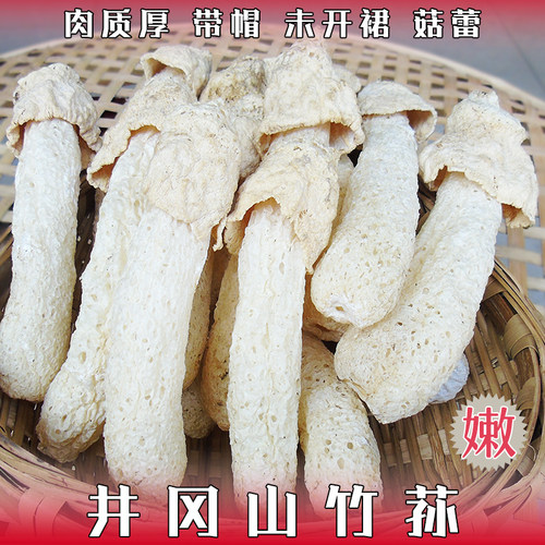 竹荪江西井冈山特产未开裙梦带帽