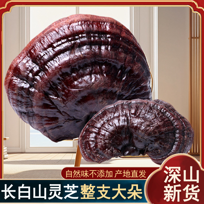 灵芝正品长白山紫灵芝整枝深山半野生灵芝片赤林芝茶可切片新货