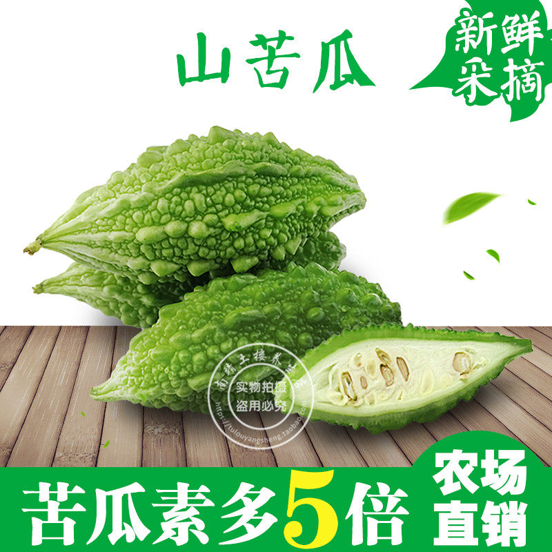 现摘新鲜山苦瓜鲜品夏季蔬菜饭酒店炖汤1斤500克仿野生小苦瓜