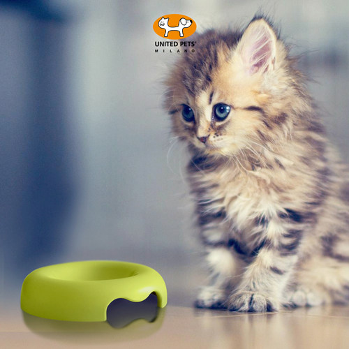 UNITED PETS凯蒂经典猫咪碗NEW! Kitty 圆形宠物餐具简约猫咪用品
