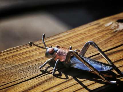 银币艺术系列 钱币改造蚂蚱胸针EDGS01-02 STZ工作室