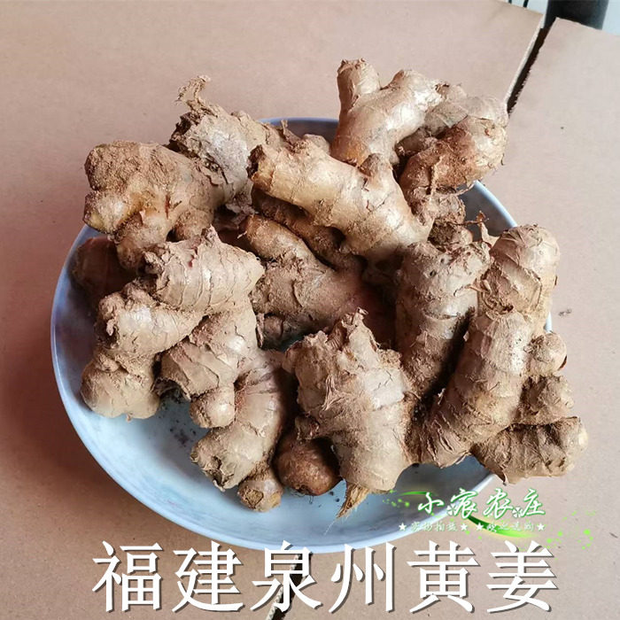 福建老姜 永春农家 闽南小黄姜 月子姜 1-5斤 土生姜 月子姜母