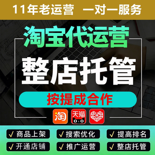 淘宝代运营店铺托管服务网店电商天猫直通车推广多多pdd个人整店