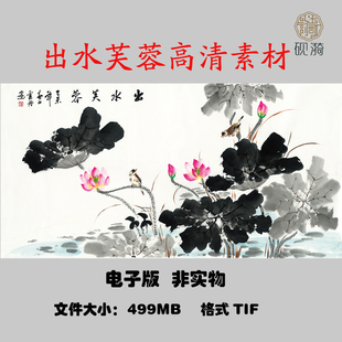 030荷花出水芙蓉横幅国画高清大图电子素材网盘非实物