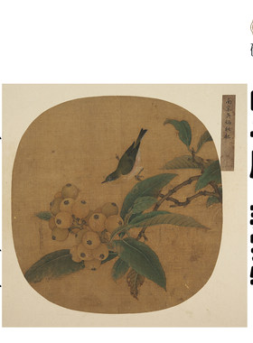 Y582 南宋吴炳枇杷绣眼图画高清电子素材百度网盘发货非实物