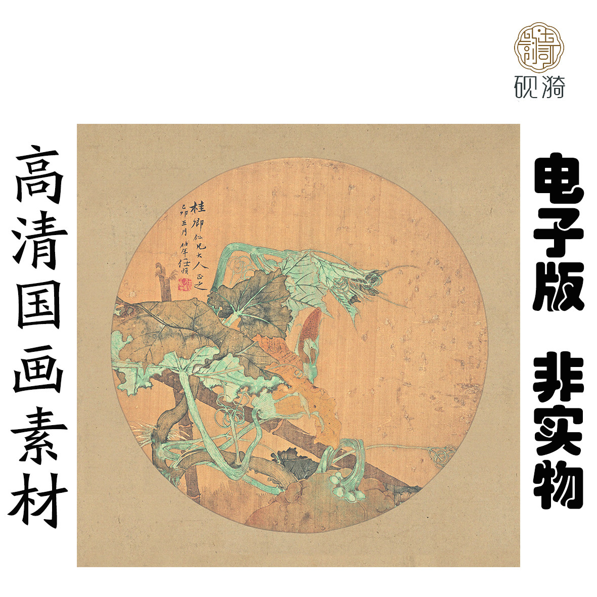 Q147清 任颐 南瓜图团扇国画高清大图电子素材网盘发货非实物