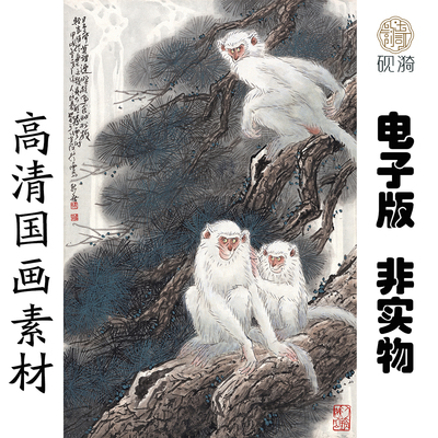 X076白猴图轴图国画高清大图电子素材百度网盘发货非实物