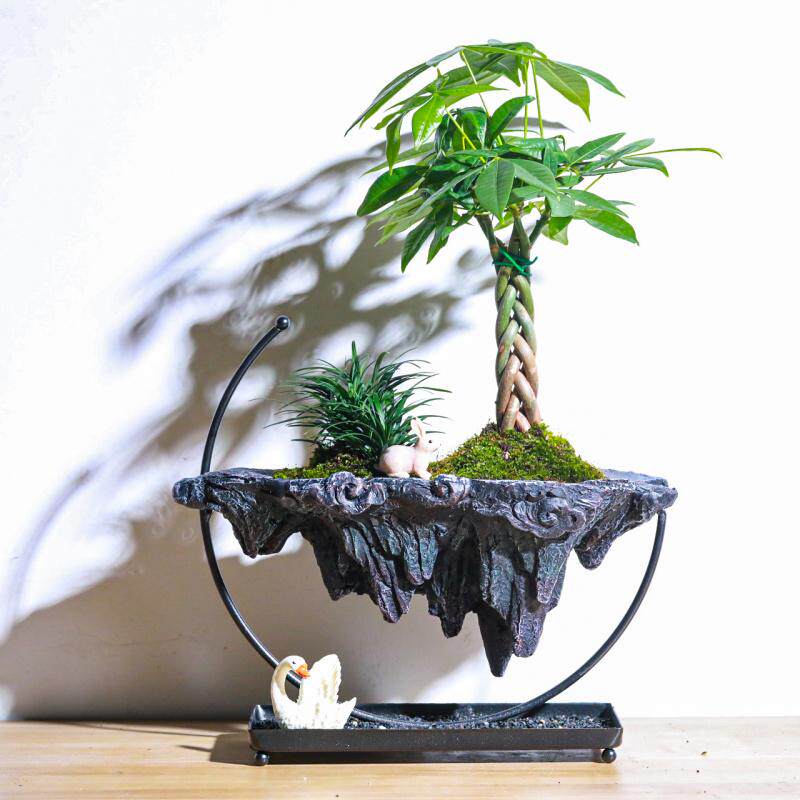 天空之城发财树桌面艺术盆景室内办公室绿植物乔迁送礼茶室盆栽
