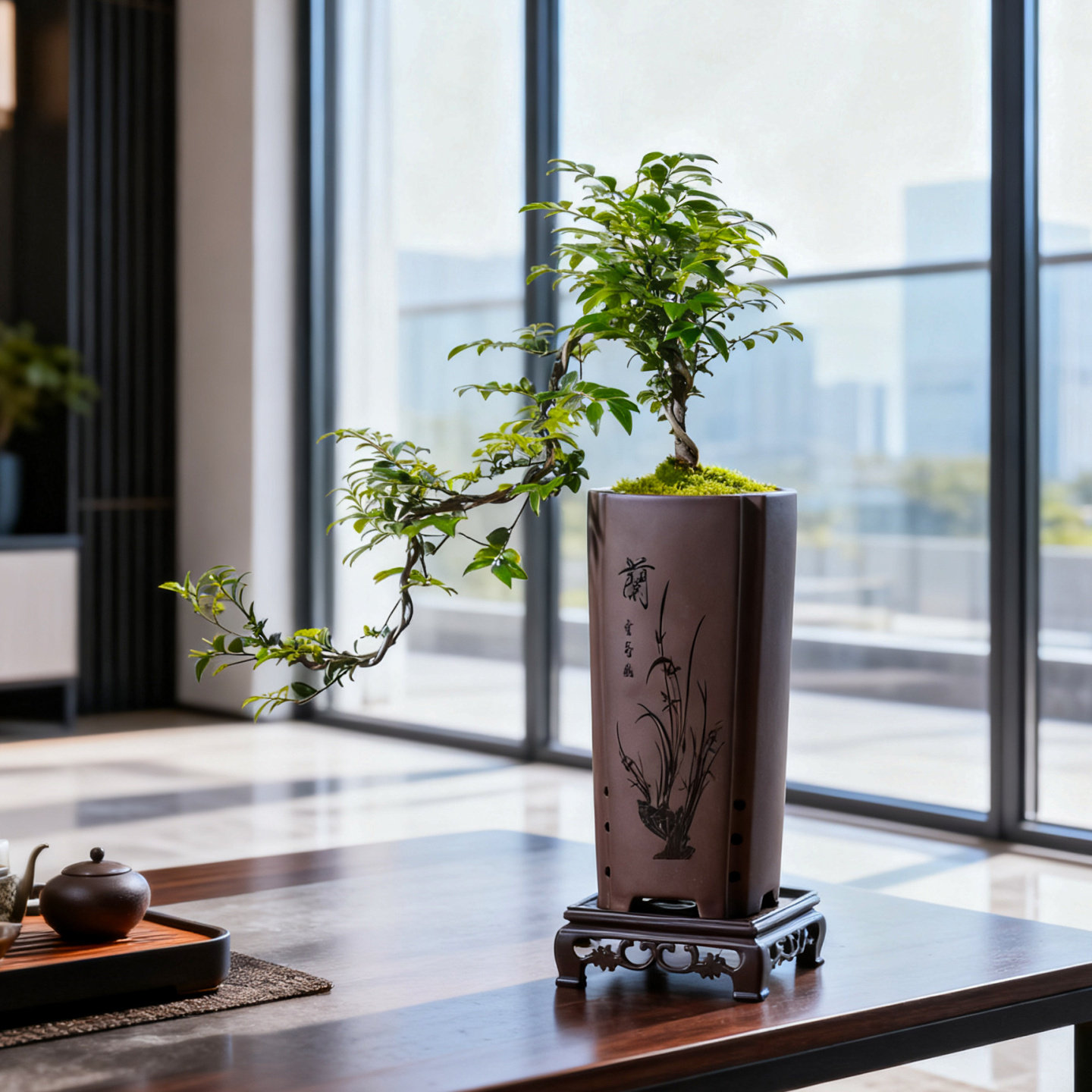 悬崖式小叶紫檀黑骨茶盆景飘枝造型盆栽室内中式茶室阳台送礼绿植