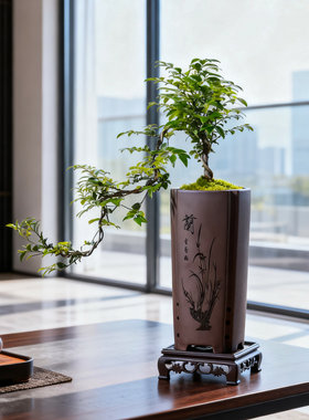 悬崖式小叶紫檀黑骨茶盆景飘枝造型盆栽室内中式茶室阳台送礼绿植