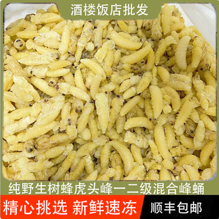 树蜂蜂蛹新鲜冷冻小蜂蛹马蜂蛹胡蜂黄蜂野生一级二级混合虎头峰蛹
