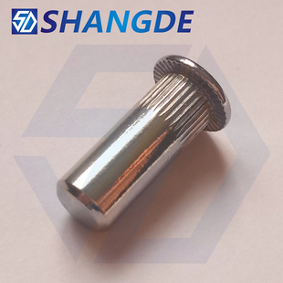 304不锈钢平头竖纹圆柱盲孔拉铆螺母 封闭口拉帽拉铆钉螺母拉母