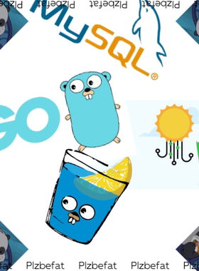 golang tcp 并发 websock 通讯 socket 桥 后端 gin iris 开发