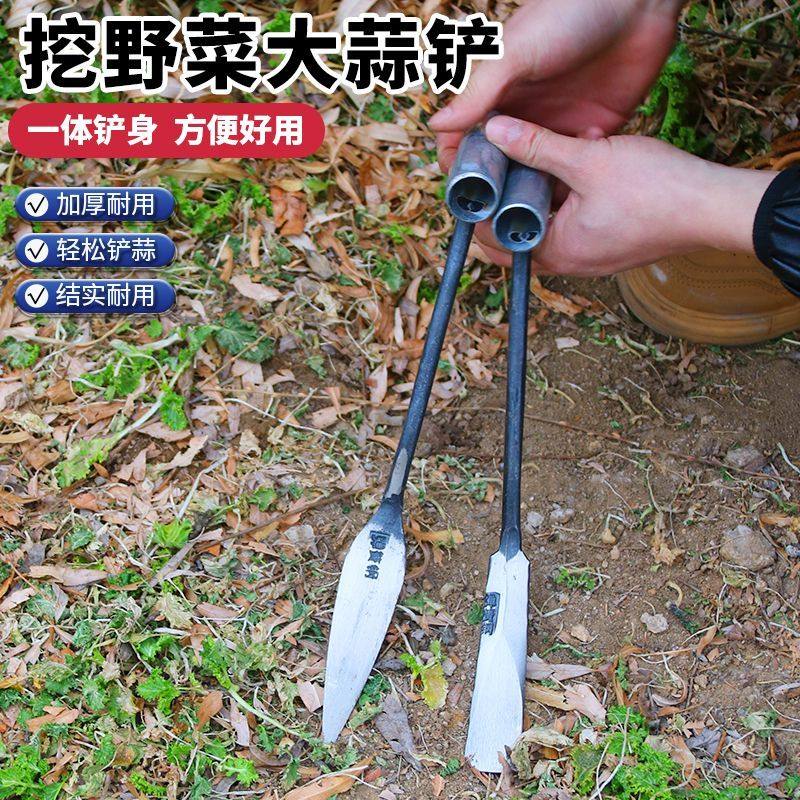 挖野菜的小铲子户外拔草园艺种菜起根除草神器专用铲蒜铲种花工具,鲜花速递/花卉仿真/绿植园艺,铲子,淘宝优惠券,粉丝福利购,淘宝优惠卷