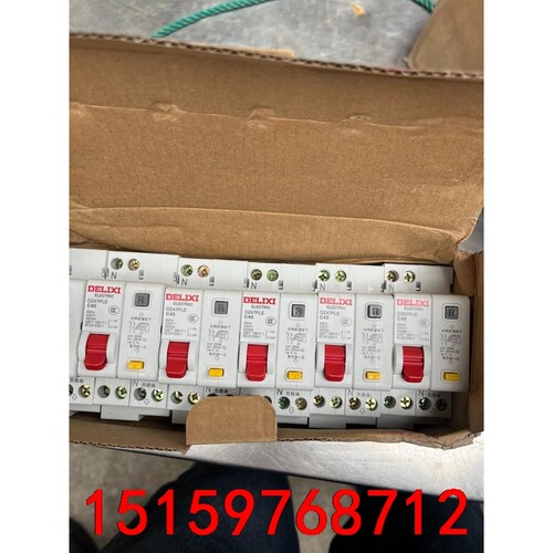德力西双进双出家用漏电保护开关DZ47PLE 40A代替CD议价