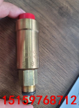 FLAMCO自动排气阀，3/8”，10bar，120°，全新议价
