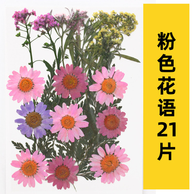 干花diy材料包压花片花瓣滴胶制作书签真花朵植物树叶标本素材包