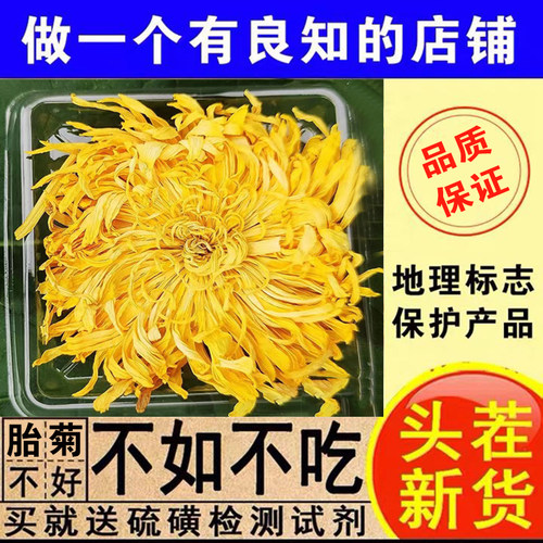 正宗金丝皇菊黄山菊花茶