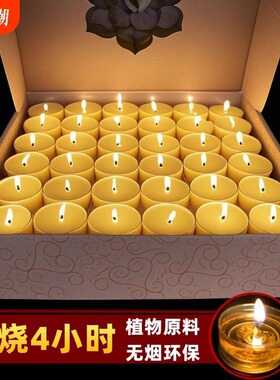 供佛灯8小时无烟酥油灯100粒4小时苏油灯2小时蜡烛佛前供灯长明灯