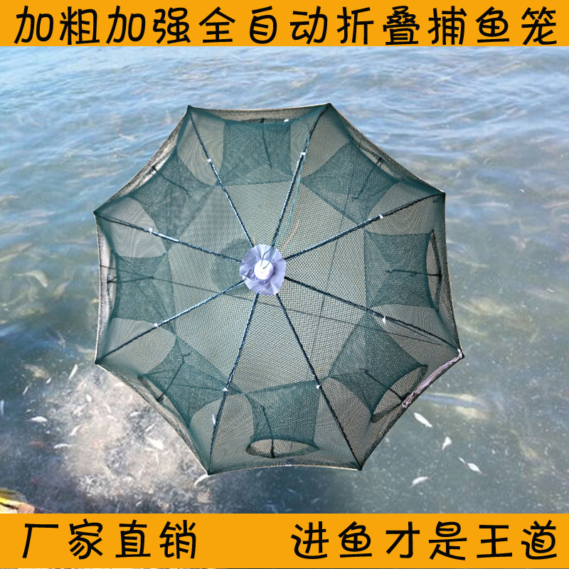 新品加粗折叠黄鳝泥鳅全自动伞