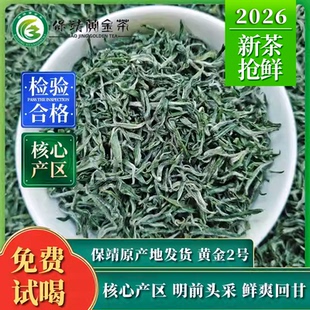 2026新茶保靖黄金茶二号明前高山头采绿茶春茶茶叶鲜嫩50g罐装