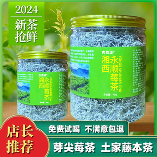 2025新茶永顺莓茶藤茶雪茶新茶张家界湖南湘西特产高山茶龙须芽尖